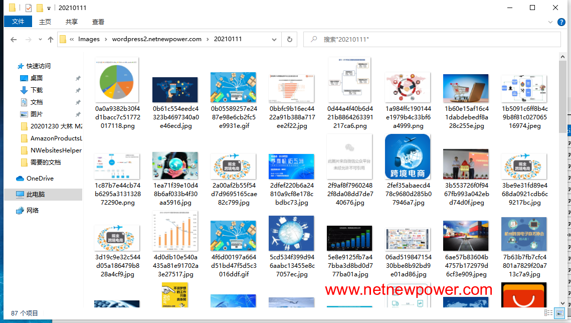 WordPress站群管理系统 9